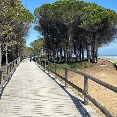 Bright Garden Near The Sea * Bibione