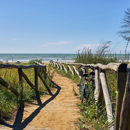 Bright Garden Near The Sea Bibione